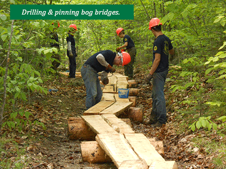 Field Team drilling and pinning bog bridges.