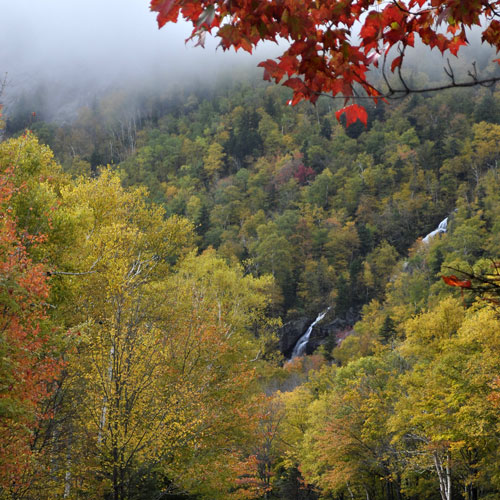 grafton notch waterfall with trees in fall colors of gold, orange and red