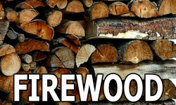 pests in firewood button