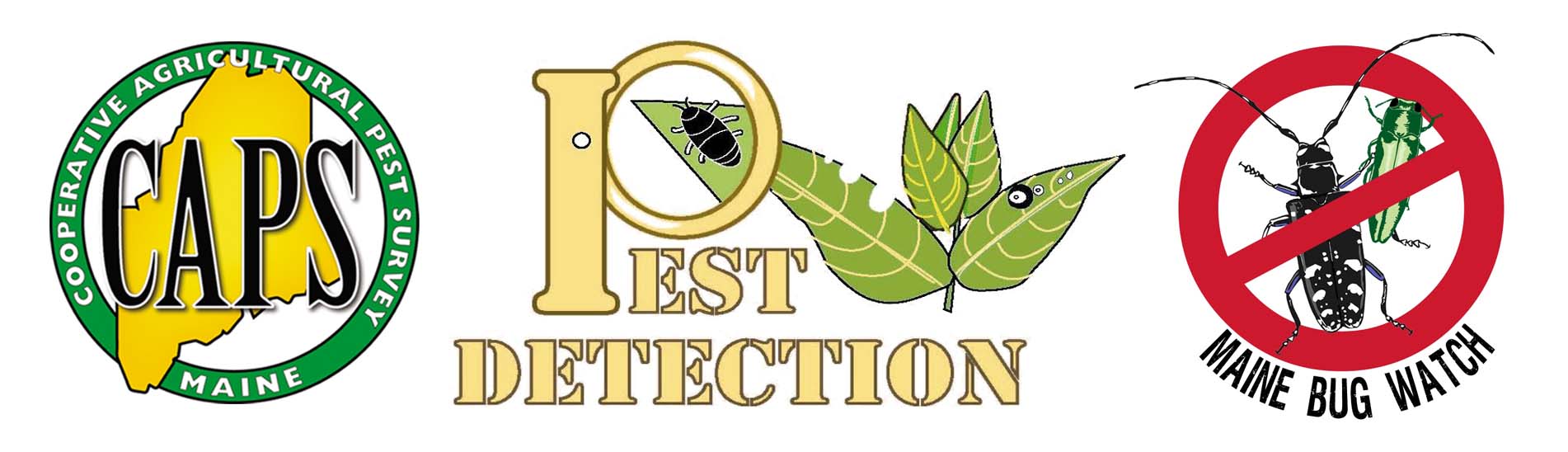 exotic pests