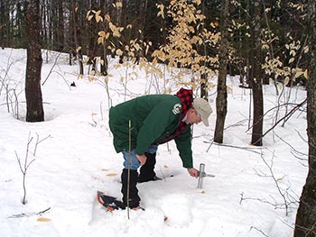 Snow Survey