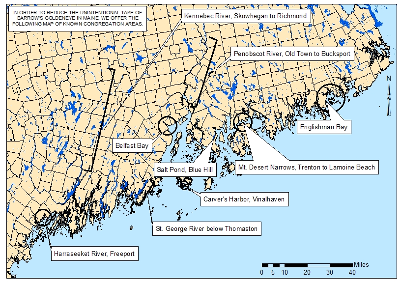 Map showing where Barrow’s Goldeneyes are known to congregate.