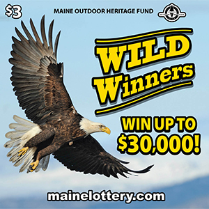 Big Bucks Ticket