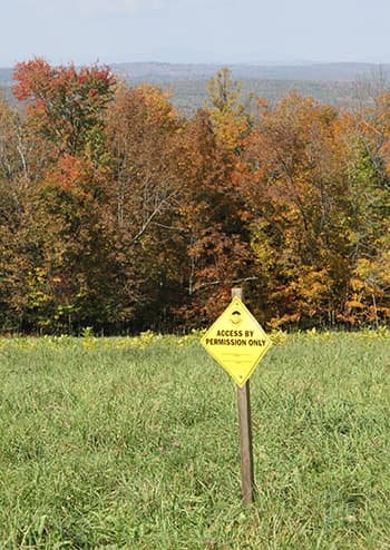 posted sign on tree
