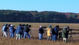 Birders at Scarborough WMA