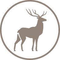 deer icon