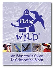 flying wild guide