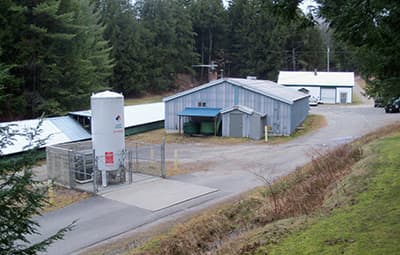 Governor Hill Hatchery