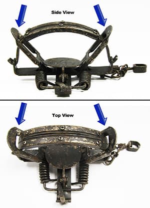 top and side view of a trap