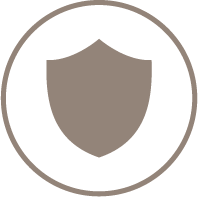 shield icon