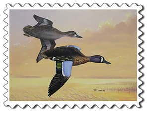 2016 Duck Stamp