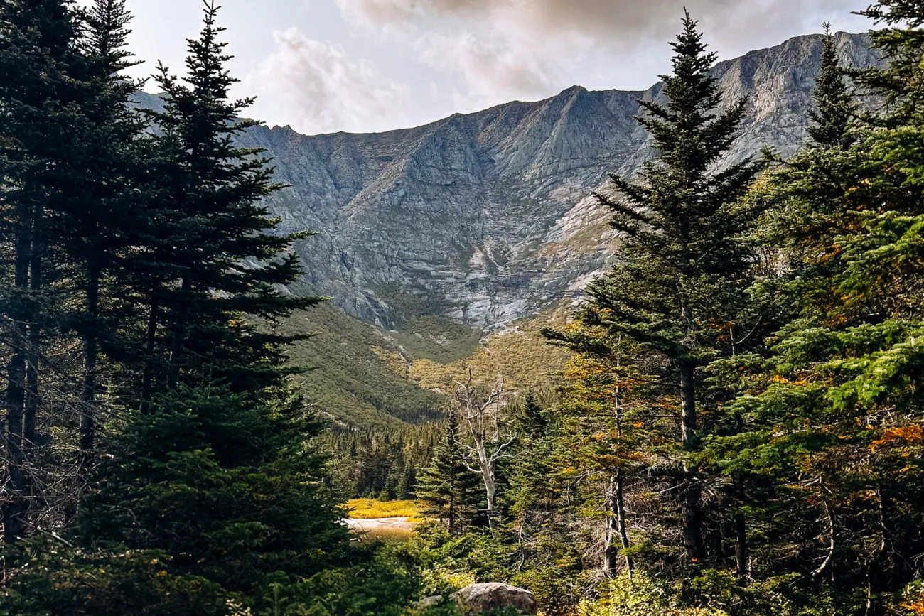 view of Mount Katahdin through evergreen trees