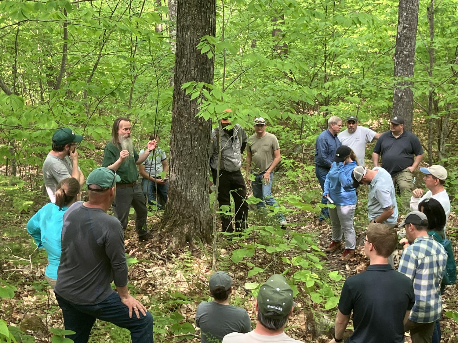 Andy Whitman: Maine Forest Service Climate Carbon Specialist
