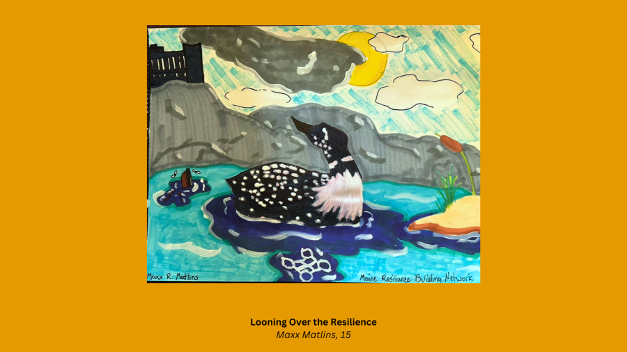 Maine Youth Climate Art Challenge Slideshow