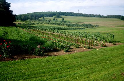 Central Aroostook Water and Soil Demonstration Farm
