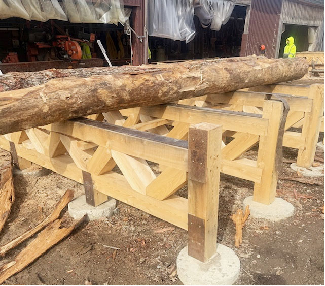 Timber getting read to be cut at the sawmill
