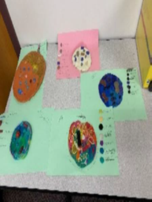 Cells created by students in science class