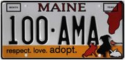 AWP license plate