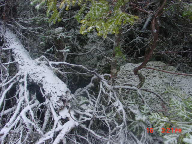 P03_Taken_Near_15_Showing_Boulders_&_Voids.jpg