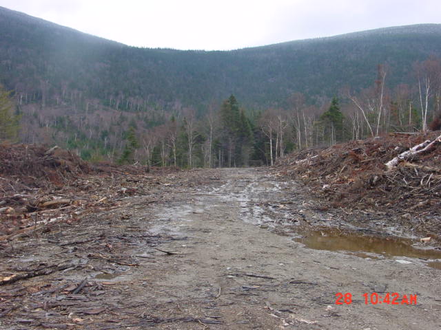 P05_Log_Yard_At_End_Of_Re6_A.jpg