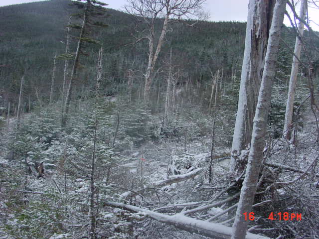 P05_Looking_Toward_10_&_11.jpg