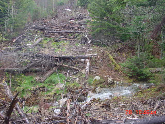 P06_Proposed_Bridge_Crossing_#1.jpg