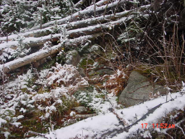 P21_Looking_South_At_End_Of_Tracking_Line_El_3420.jpg