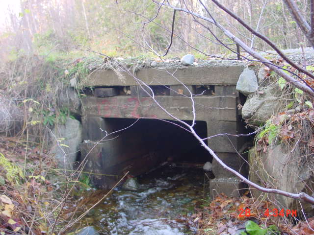 P22_Wood_Box_Culvert_Along_Ip_Road.jpg