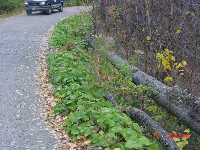 P36_Just_After_Split_On_Re6_A_Corner_&_Steep_Slope.jpg