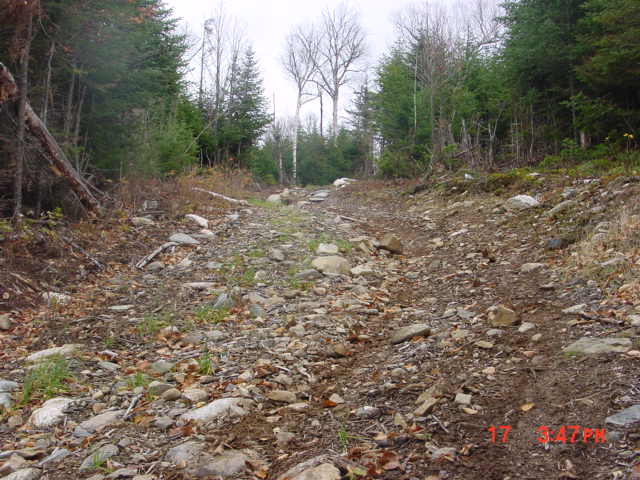 P44_Taken_Between_3_And_4_Along_Atv_Trail.jpg