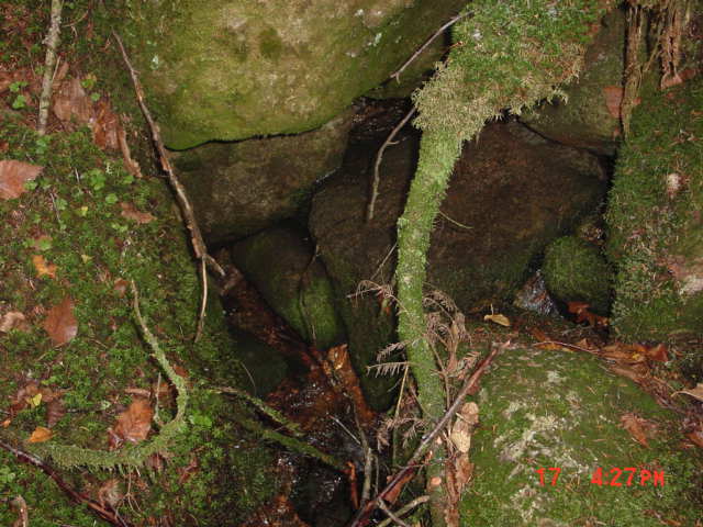 P46_Stream_Crossing_At_Pt_6.jpg