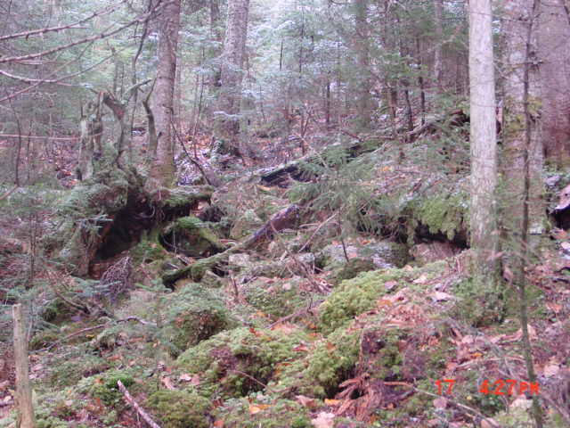 P47_Stream_Crossing_At_Pt_6.jpg