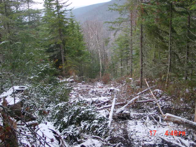 P48_At_Pt_7,8_Corner_Some_Flat,_Some_Steep.jpg