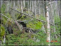 P15_Near_Point_28_Loose_Boulders.jpg