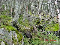 P16_Near_Point_28_Loose_Boulders.jpg