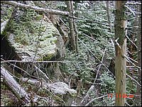 P19_Near_P18_Near_Point_28_Very_Steep_Loose_Boulders.jpg