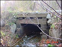 P22_Wood_Box_Culvert_Along_Ip_Road.jpg