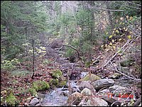 P41_Pt_3_At_Stream_Crossing_Proposal_Bridge_Crossing_#1.jpg