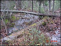 P43_Pt_3_At_Stream_Crossing_Proposal_Bridge_Crossing_#1.jpg