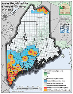 map of emerald ash borer quarantine in Maine