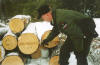 Maie Forest Ranger measuring a load of logs.