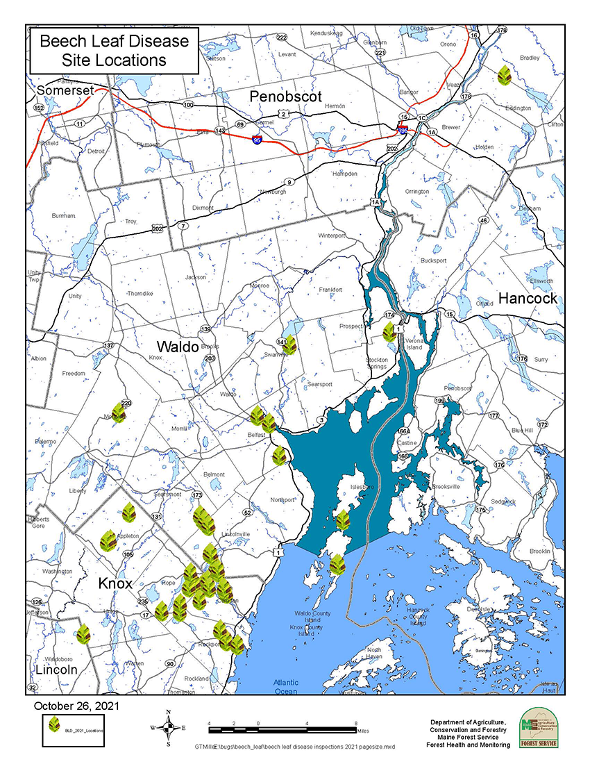 Beech Leaf Disease Site Locations, October 26, 2021