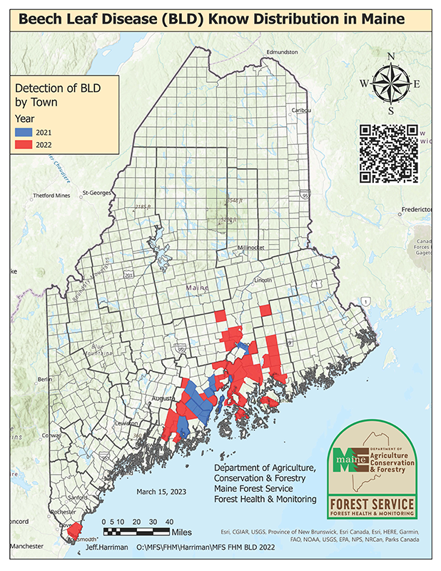 Beech Leaf Disease Distribution March 2023