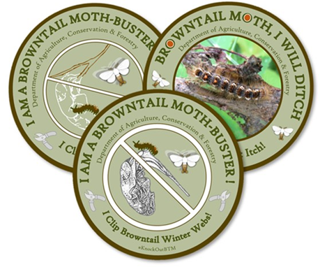 circle image that says I am a browntail moth buster! I clip browntail moth winter webs!  Department of Agriculture, Conservation & Forestry