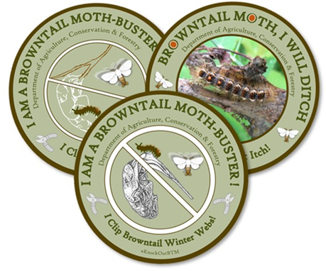 circle image that says I am a browntail moth buster! I clip browntail moth winter webs! Department of Agriculture, Conservation & Forestry