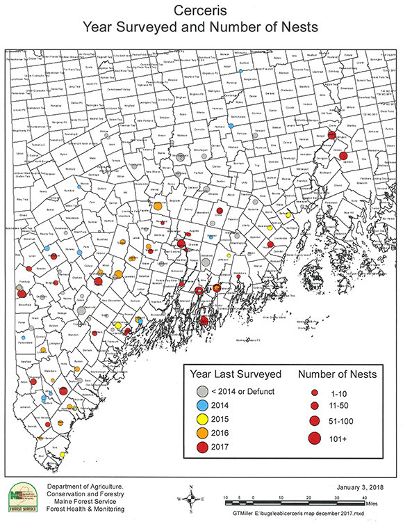 Map of Cerceris Colonies 2008