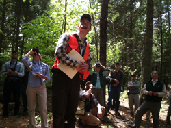 Consulting forester checking bird habitat