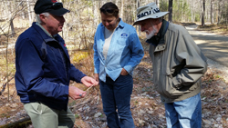 Consulting forester shows tree core sample to woodland owners