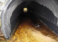 A culvert installed to stream smart principles that is accumulating substrate in the bottom.