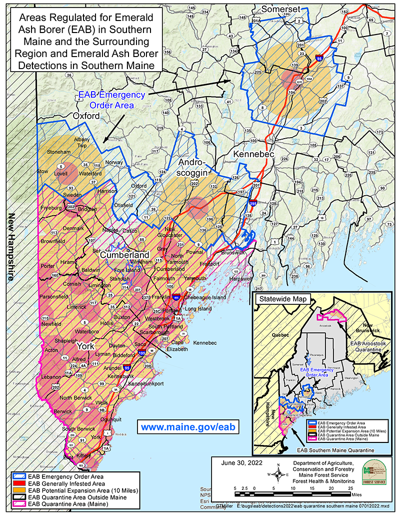 Areas Regulated for Emerald Ash Borer (EAB) in Southern Maine and the Surrounding Region and Emerald Ash Borer Detections in Southern Maine